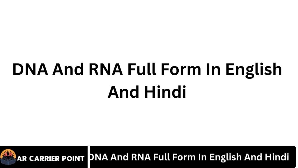 DNA And RNA