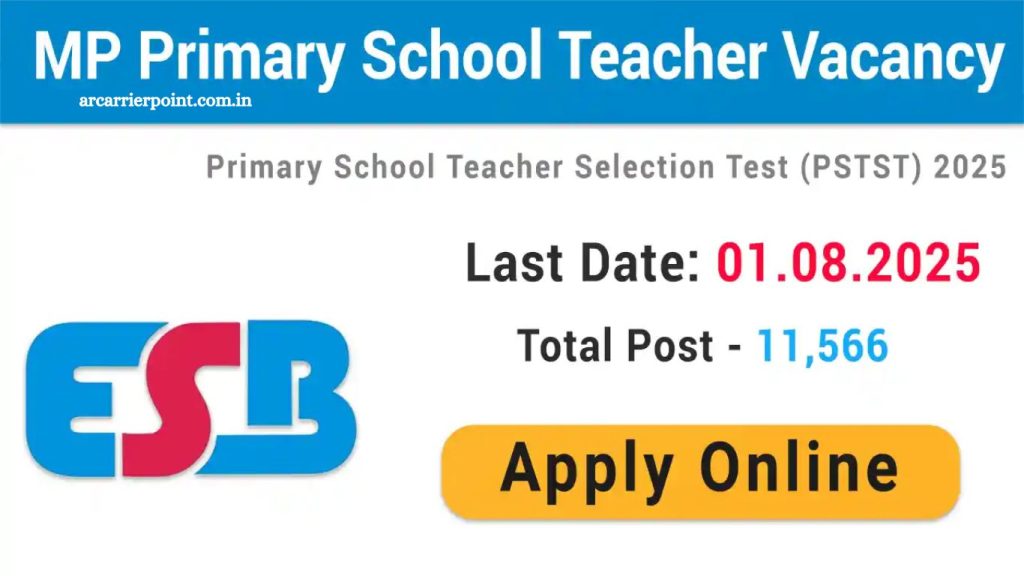 Primary School Teacher